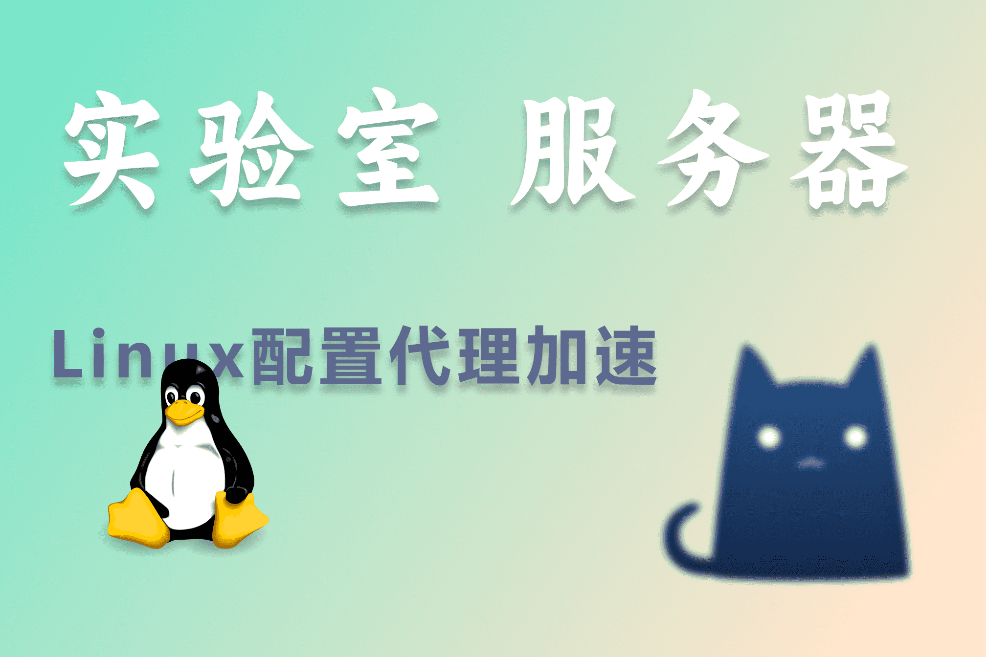 linux 系统配置 clash 代理